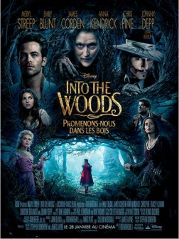 Into the Woods, Promenons-nous dans les bois (2014)