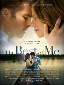 The Best of Me (2014)