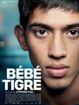 Bébé Tigre (2014)