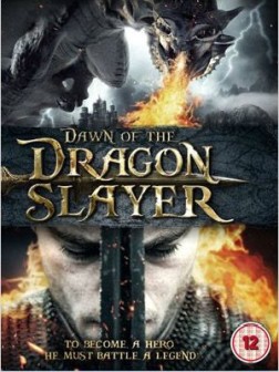 Paladin : le dernier chasseur de dragons (2011)