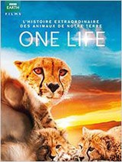 One Life (2011)