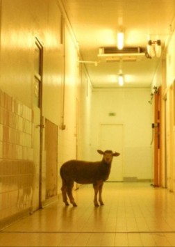 Gorge Coeur Ventre (2016)