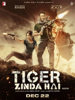 Tiger Zinda Hai (2017)