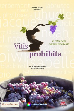 Vitis Prohibita (2019)